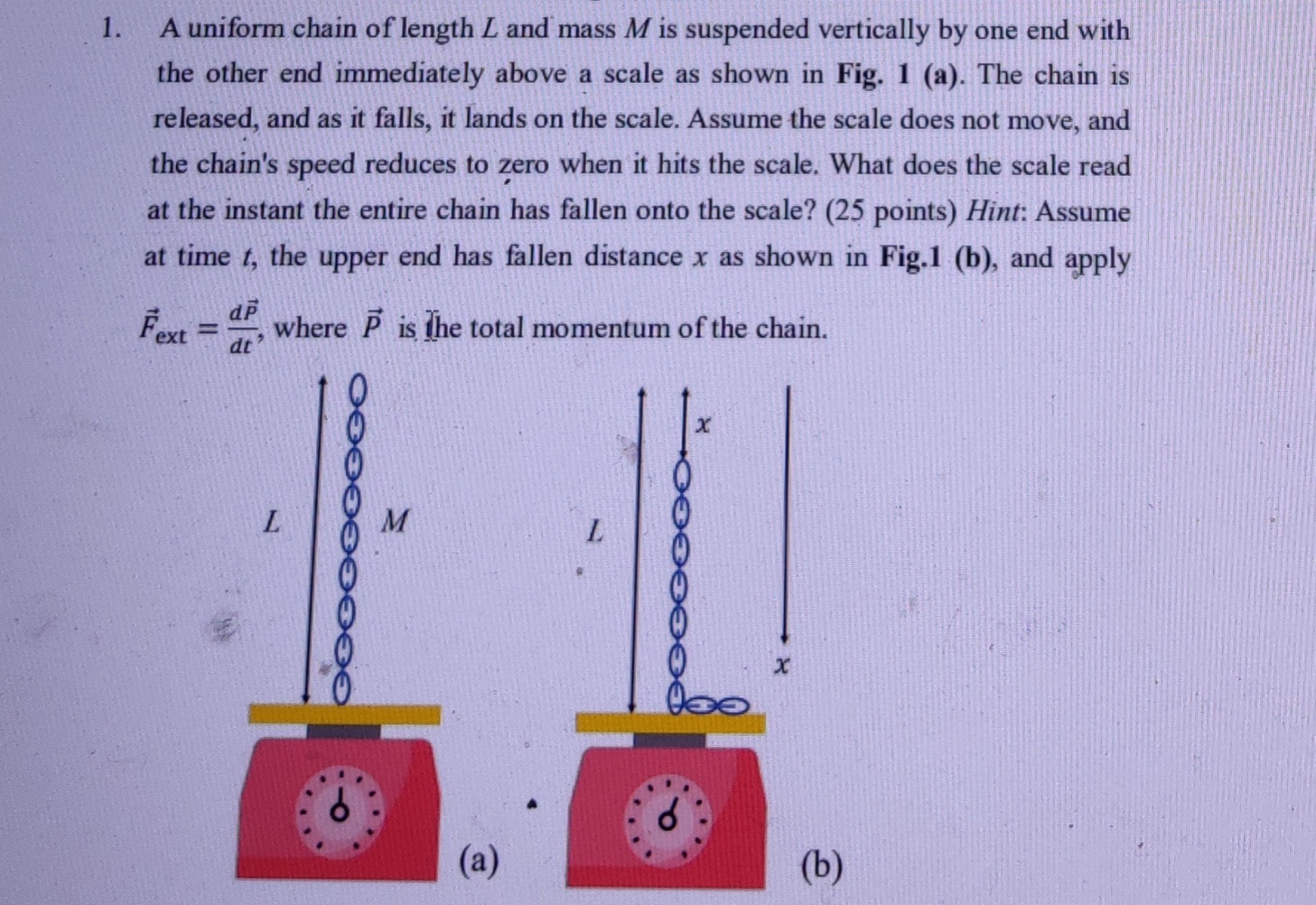 1 a uniform chain of length l and mass m is suspended vertically by one ...