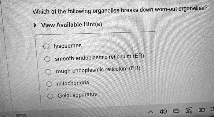 solved-which-of-the-following-organelles-breaks-down-worn-out