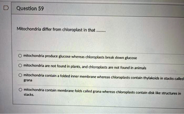 Mitochondria differ from chloroplast in that .........

mitochondria produce glucose whereas chloroplasts break down glucose
mitochondria are not found in plants, and chloroplasts are not found in animals
mitochondria contain a folded inner membrane whereas chloroplasts contain thylakoids in stacks called grana
mitochondria contain membrane folds called grana whereas chloroplasts contain disk like structures in stacks.