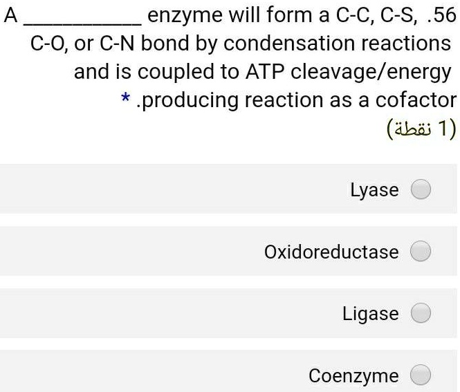 A  enzyme will form a C-C, C-S, C-O, or C-N bond by condensation reactions and is coupled to ATP cleavage/energy-producing reaction.
Lyase
Oxidoreductase
Ligase
Coenzyme