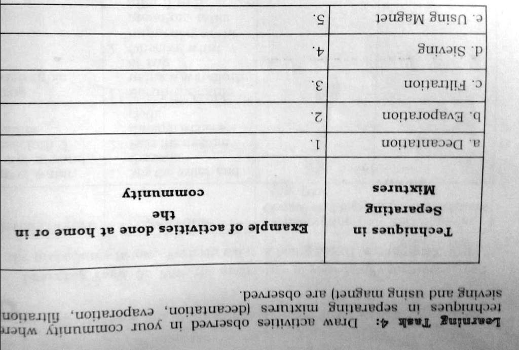 SOLVED Learning Task 4 Activities observed in your community where