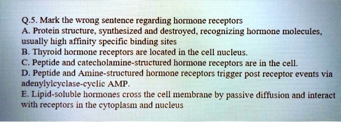 Q.5. Mark the wrong sentence regarding hormone receptors
A. Protein structure, synthesized and destroyed, recognizing hormone molecules, usually high affinity specific binding sites
B. Thyroid hormone receptors are located in the cell nucleus.
C. Peptide and catecholamine-structured hormone receptors are in the cell.
D. Peptide and Amine-structured hormone receptors trigger post receptor events via adenylylcyclase-cyclic AMP.
E. Lipid-soluble hormones cross the cell membrane by passive diffusion and interact with receptors in the cytoplasm and nucleus