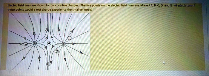 Electric field lines are shown for two positive charges. The five ...