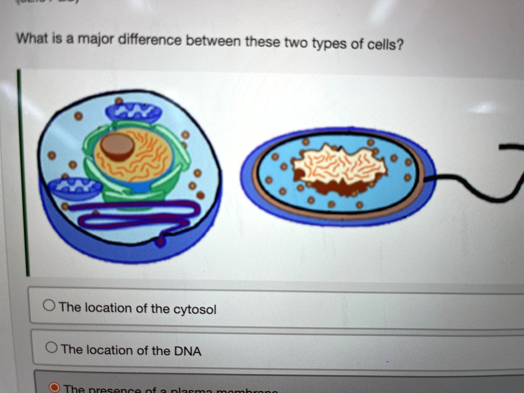 SOLVED: 'What is a major difference between these two types of cells ...