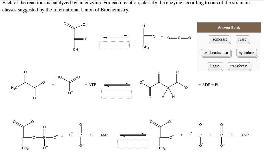 Each of the reactions is catalyzed by an enzyme. For … SolvedLib
