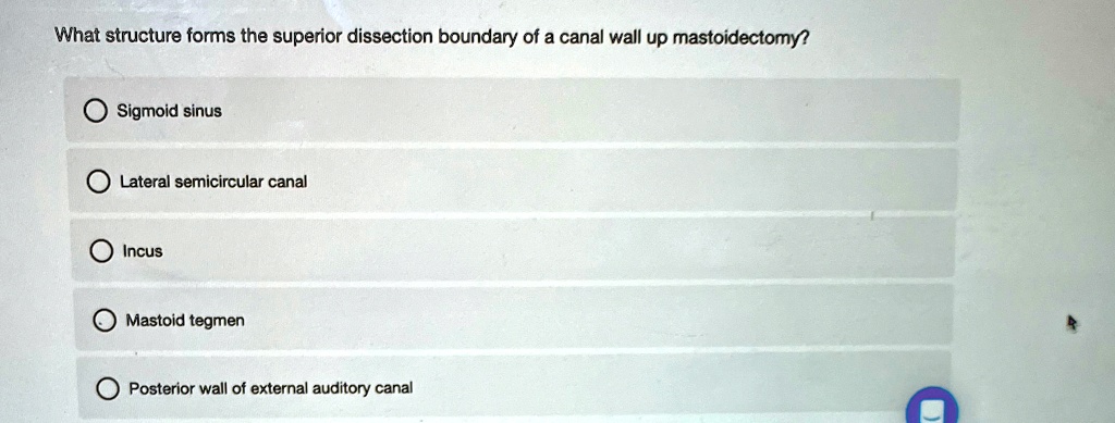 what structure forms the superior dissection boundary of a canal wall ...