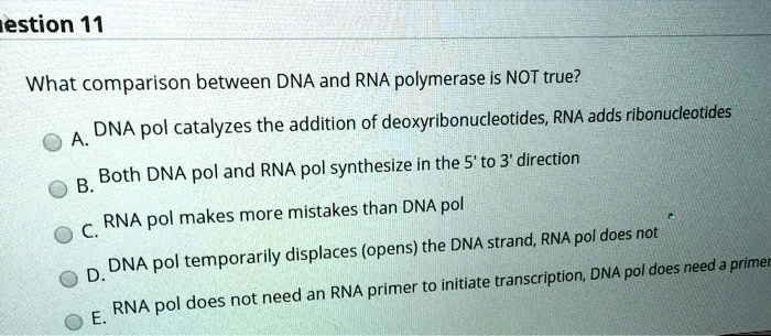 What comparison between DNA and RNA polymerase is NOT true?
A. DNA pol catalyzes the addition of deoxyribonucleotides, RNA adds ribonucleotides
B. Both DNA pol and RNA pol synthesize in the 5' to 3' direction
C. RNA pol makes more mistakes than DNA pol
D. DNA pol temporarily displaces (opens) the DNA strand, RNA pol does not
E. RNA pol does not need an RNA primer to initiate transcription, DNA pol does need a primer