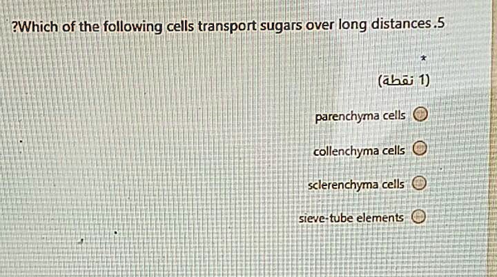 Solved:?Which Of The Following Cells Transport Sugars Over Long Distances  .5 (Abaj 1) Parenchyma Cells Collenchyma Cells Sclerenchyma Cells Sievc  Tube Elements Solved:?Which Of The Following Cells Transport Sugars Over Long Distances  .5 (Abaj 1) Parenchyma Cells Collenchyma Cells Sclerenchyma Cells Sievc  Tube Elements