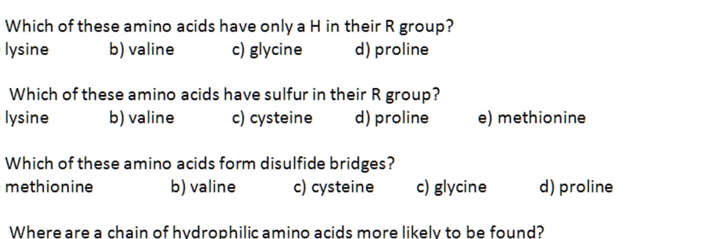 Which of these amino acids have only a H in their R group?
lysine b) valine c) glycine d) proline

Which of these amino acids have sulfur in their R group?
lysine b) valine c) cysteine d) proline e) methionine

Which of these amino acids form disulfide bridges?
methionine b) valine c) cysteine c) glycine d) proline

Where are a chain of hydrophilic amino acids more likely to be found?