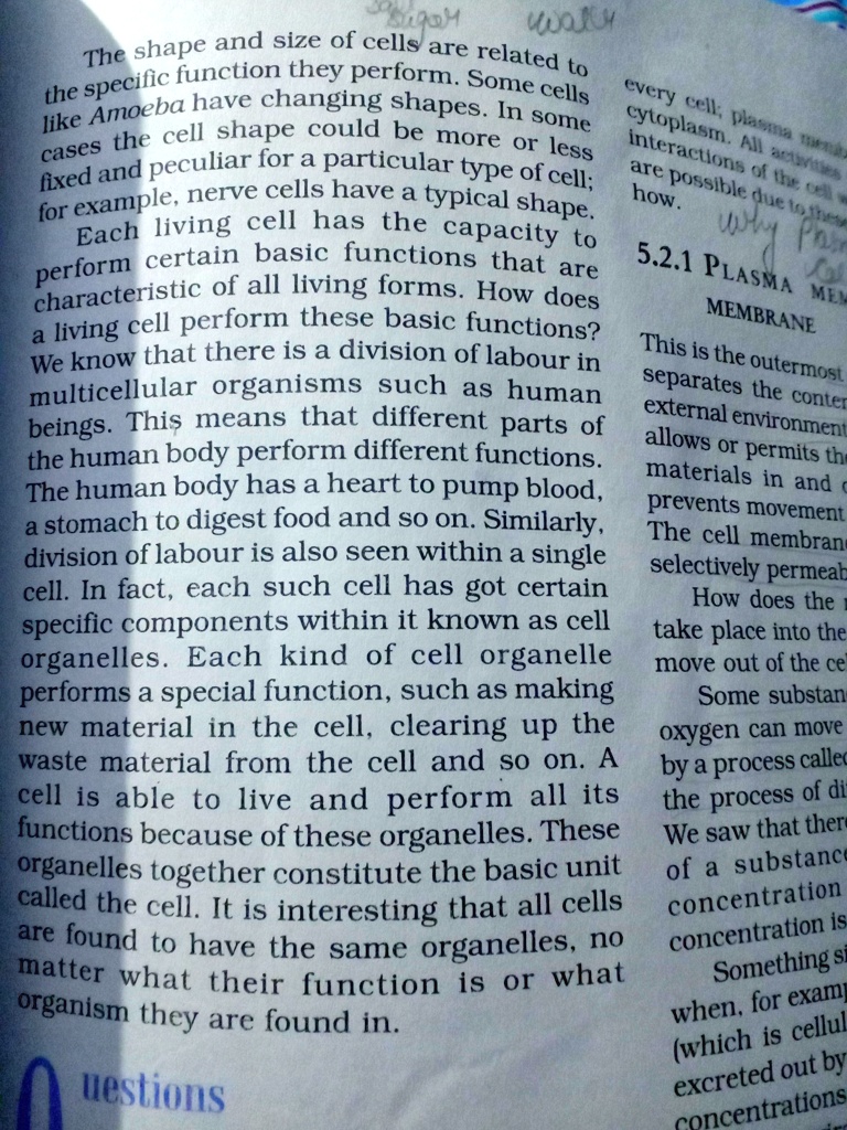 guys please make the extra questions in this paragraph 83116