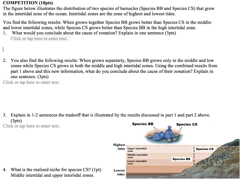 SOLVED: COMPETITION (1 Pt) The Figure Below Illustrates The ...