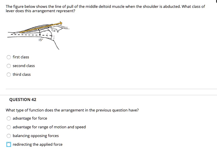 SOLVED The figure below shows the line of pull e of the middle deltoid
