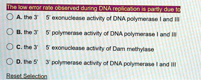 the low error rate observed during dna replication is partly due tc o a