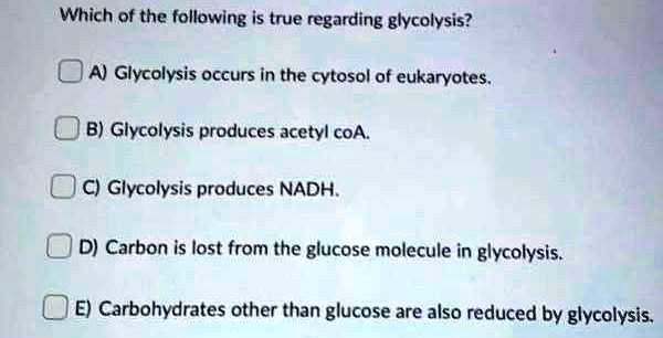 which of the following is true regarding glycolysis a glycolysis occurs