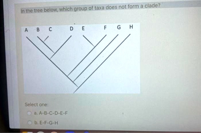 In the tree below, which group of taxa does not form a clade?
A B C D E F G H
Select one:
a. A-B-C-D-E-F
b. E-F-G-H