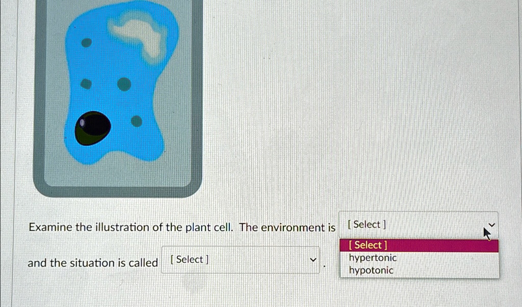 Examine the illustration of the plant cell. The environment is [Select ...