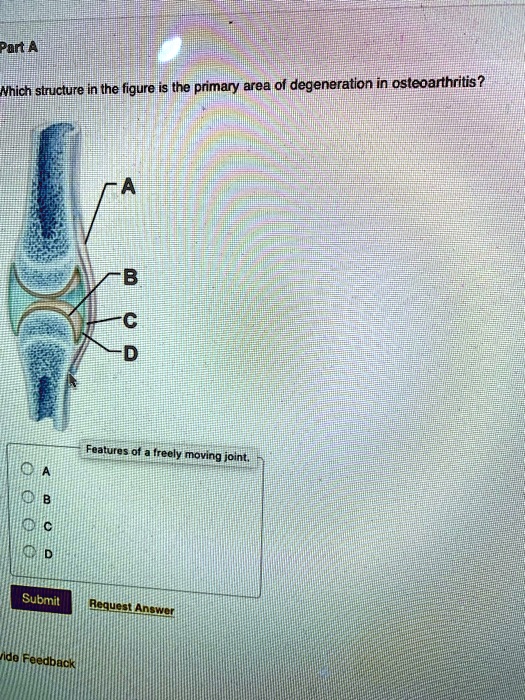 Parta Hich Structure In The Figure Is The Primary Area Of Degeneration ...