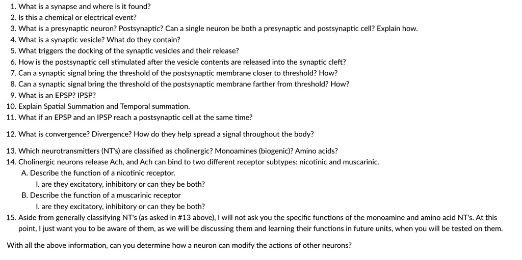 SOLVED 1. What is a synapse and where is it found? 2. Is this a