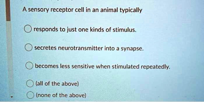 A sensory receptor cell in an animal typically
responds to just one kinds of stimulus.
secretes neurotransmitter into a synapse.
becomes less sensitive when stimulated repeatedly.
(all of the above)
(none of the above)