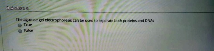 The agarose gel electrophoresis can be used to separate both proteins and DNAs
True
False