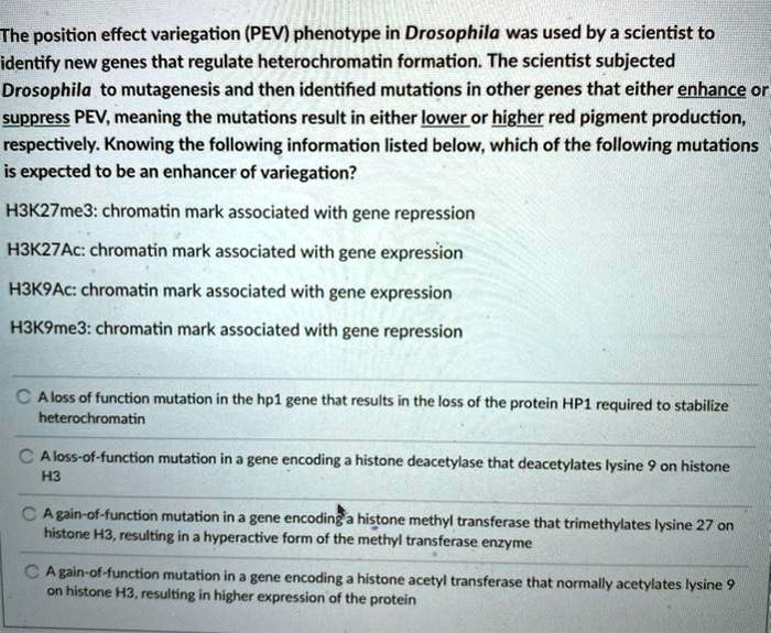 the position effect variegation pev phenotype in drosophila was used by ...