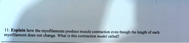 11. Explain how the myofilaments produce muscle contraction even though the length of each myofilament does not change. What is this contraction model called?