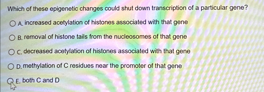 Which of these epigenetic changes could shut down transcription of a particular gene?
A. increased acetylation of histones associated with that gene
B. removal of histone tails from the nucleosomes of that gene
C. decreased acetylation of histones associated with that gene
D. methylation of C residues near the promoter of that gene
E. both C and D
