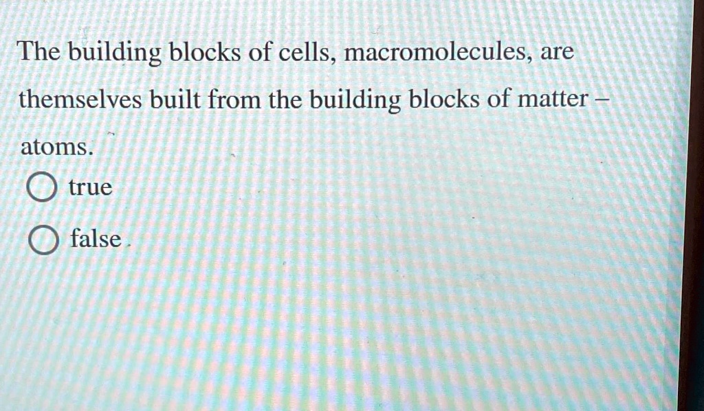 SOLVED The building blocks of cells, macromolecules, are themselves