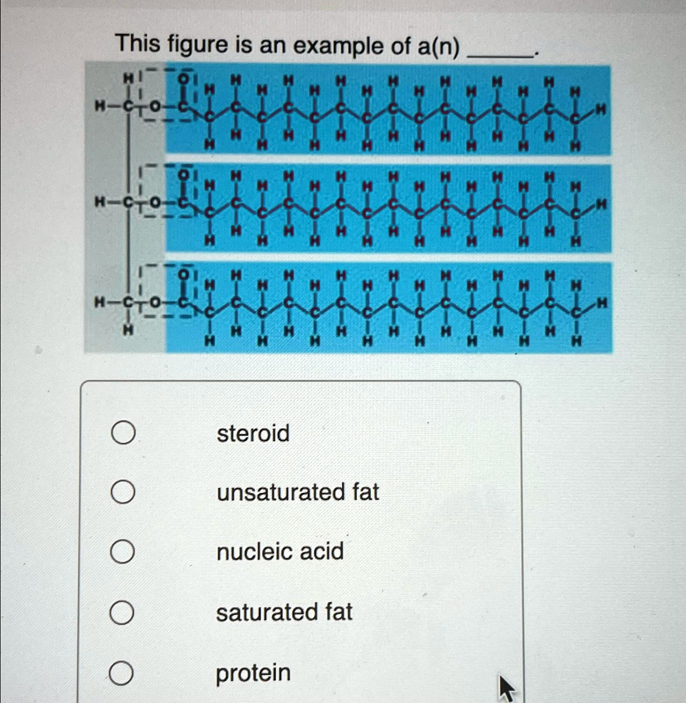 this figure is an example of an steroid unsaturated fat nucleic acid