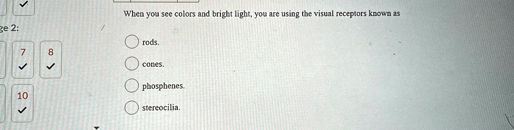 ge 2:
7
8
10
When you see colors and bright light, you are using the visual receptors known as
rods.
cones.
phosphenes.
stereocilia.