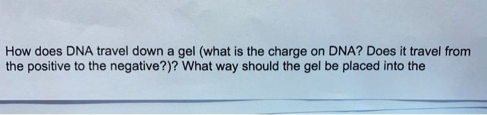How does DNA travel down a gel (what is the charge on DNA? Does it travel from the positive to the negative?)? What way should the gel be placed into the