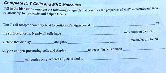 Complete It: T Cells and MHC Molecules
Fill in the blanks to complete the following paragraph that describes the properties of MHC molecules and their
relationship to cytotoxic and helper T cells.
The T cell receptor can only bind to portions of antigen bound to  on
the surface of cells. Nearly all cells have  molecules on their cell
surface that display  antigens.  molecules are found
only on antigen-presenting cells and display  antigens. TH cells bind to 
molecules only, whereas Tc cells bind to 