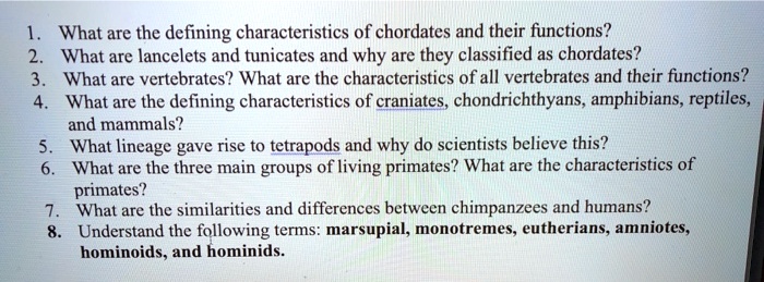 VIDEO solution: What are the defining characteristics of chordates and