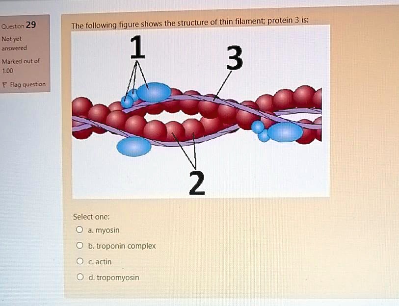 SOLVED Austin 29 Notyel unanswered Malked out of Lm The following