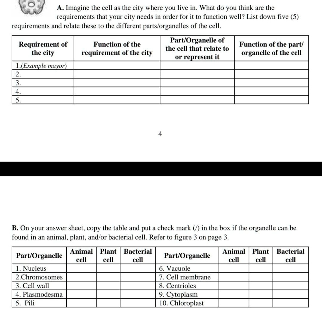 a 2009 survey of presidential rankings placed richard nixon 27th of 43 presidents. a 2005 survey rated him 32nd of 43. how would you rate the nixon presidency? write a brief essay describing nixonвЂ™s achievements as president as well as an explanation of the negative impact his presidency had on the nation and why.