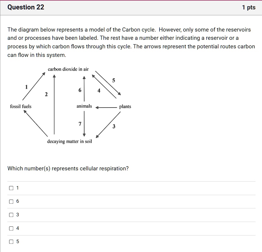 Question 22 1 pts The diagram below represents a model of the Carbon ...