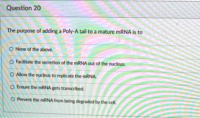 SOLVED: Question 20 The purpose of adding a Poly-A tail to a mature ...
