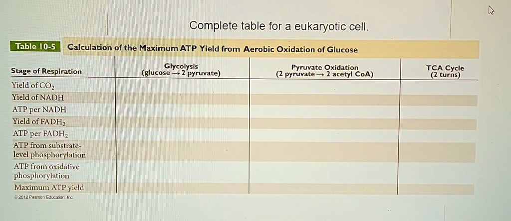 Table 10-5: Calculation of the Maximum ATP Yield from Aerobic Oxidation ...