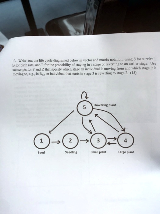 writethe-life-cycle-diagramed-below-vector-and-matrix-solvedlib