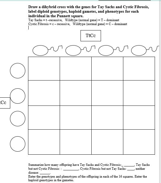 SOLVED: Draw dihybrid cross with the genes for Tay Sachs and Cystic ...