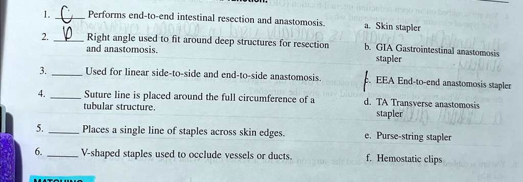 q performs end to end intestinal resection and anastomosis q right ...
