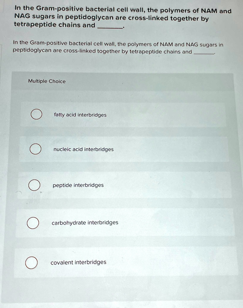 SOLVED: In the Gram-positive bacterial cell wall, the polymers of NAM ...
