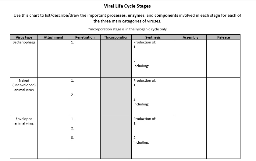 SOLVED: Text: Viral Life Cycle Stages Use this chart to list/describe ...