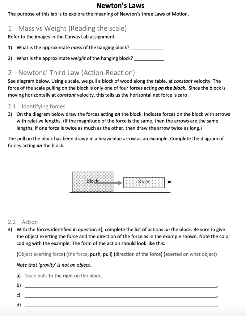 SOLVED:Newton's Laws The purpose of - this lab is to explore the ...