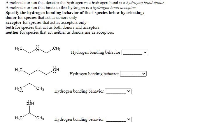 SOLVED: A molecule or ion that donates the hydrogen in hydrogen bond is ...