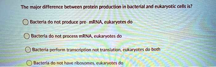 solved-the-major-difference-between-protein-production-in-bacterial