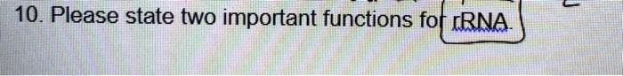 10. Please state two important functions for RNA.