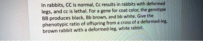 Defirmed Rabbits SOLVED: In rabbits, CC is normal, Cc results in rabbits with deformed ...
