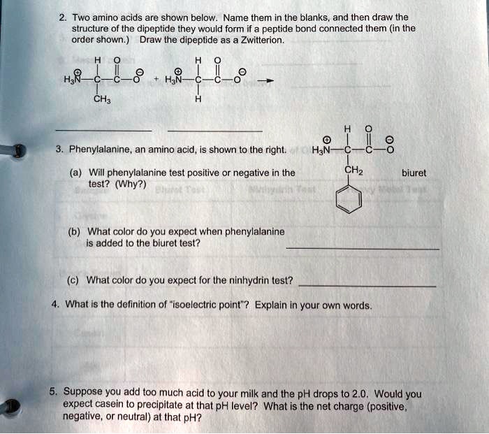 SOLVED Two amino acids are shown below. Name them in the blanks, and then draw the structure of