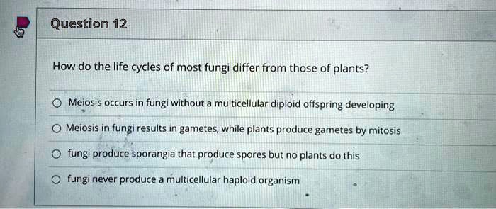 SOLVED: Question 12 How do the life cycles of most fungi differ from ...